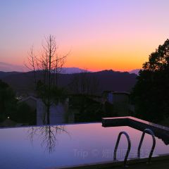 绍兴新昌安岚·听涛阁 User Photo