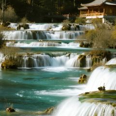 YE PO COFFEE User Photo