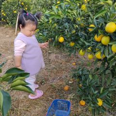 明味生態農莊張用戶圖片