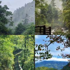 DOU XIANG SHI User Photo