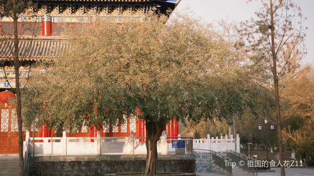 zuo gong wen hua yuan