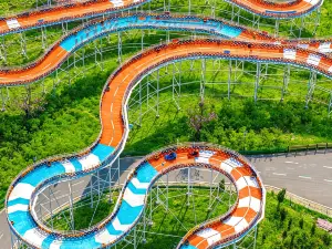 鳳棲梧桐山地運動樂園