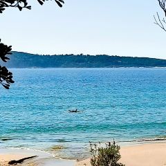 Little Beach Boathouse User Photo