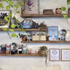 Bar Bellaccino User Photo