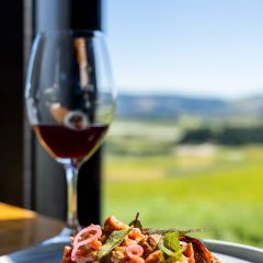 Black Estate Wines 여행 사진
