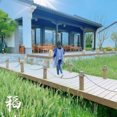 成都蓝城沐春风度假村·有稻里·稻田餐厅 User Photo