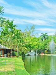 Nong Buak Haad Public Park