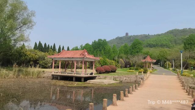 Wofo Temple Tourist Area