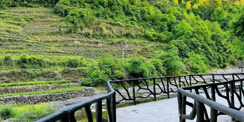 飛潛於淵與飛龍在天
