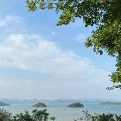 宁海强蛟镇峡山包船75号船 User Photo