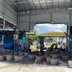 Hongmushan Restaurant User Photo