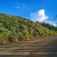 云南人家(大屯店) User Photo