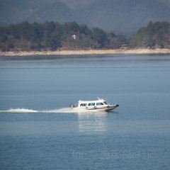 渔水谣·湖岸风味私房菜(千岛湖旅游码头店) User Photo