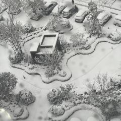 宁乡碧桂园凤凰酒店·维多利亚西餐厅 User Photo