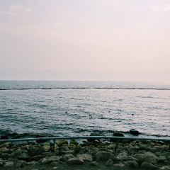 和順寸家味道張用戶圖片