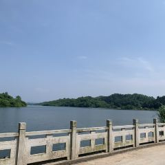 桂庭院农家乐 User Photo