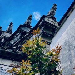 新月集庭院民宿咖啡馆 ảnh của người dùng