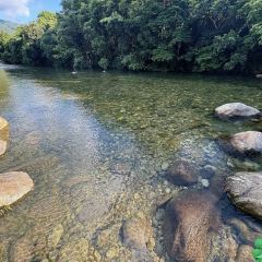 景熙豐莊園張用戶圖片