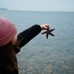 Octopus 여행 사진