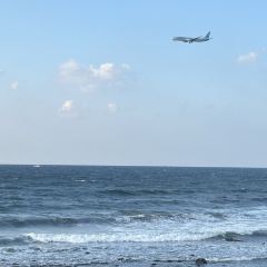 Hugely Jeju User Photo