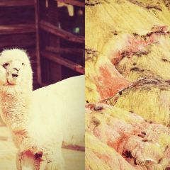 Mogouyan Beef Noodles (wujiayuan) User Photo