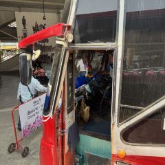 ມາລອງເດີ ຊີ້ນດາດ User Photo