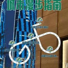 成都華爾道夫飯店·運·中餐廳張用戶圖片