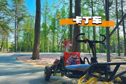 哎呀妈妈哟岚山豆腐木柴大锅鱼