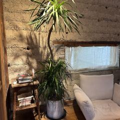 一尺花园(计家墩店) User Photo