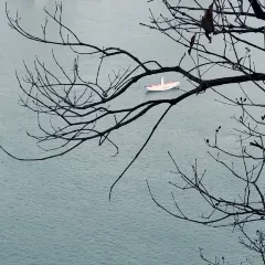 胡记包子 User Photo