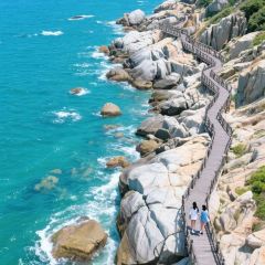 A bao bao zai Rice (huangqi) User Photo