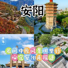 嘉汤一碗(中州路店) User Photo