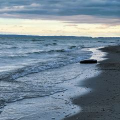 阿勒泰的角落(旅行书吧) User Photo