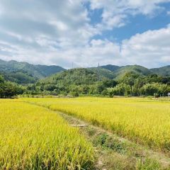 明味生態農莊張用戶圖片