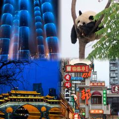 FengCheng ShuangPi Nai User Photo