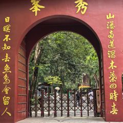 LAO ZHOU JI DAN BING User Photo