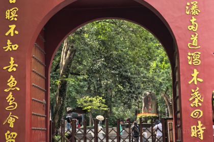 LAO ZHOU JI DAN BING