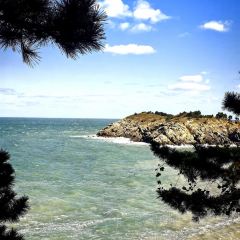 咱妈家·海菜包子(长峰店) User Photo