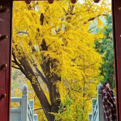 範記米線張用戶圖片