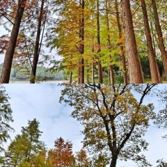 铁锅年代(天台店) User Photo