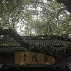 吴记煎包(一中店) User Photo