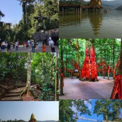 傣景园景颇族绿叶手抓饭 User Photo