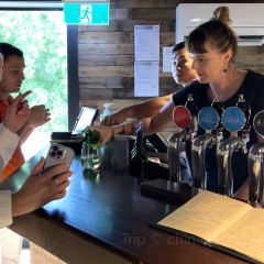 Wild on Waiheke Activities User Photo