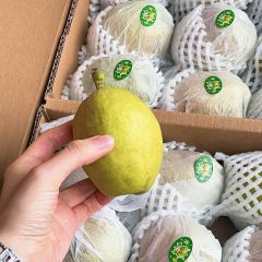 鱼众不同(博湖鱼庄分店) User Photo