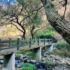 北山淩英手擀麵張用戶圖片