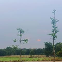 鑫金川鱼庄 User Photo