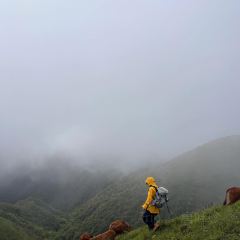 狮子口(河洑店) User Photo