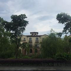 太湖船说·月亮湾餐厅(渔人码头店) User Photo