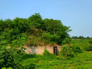 Tomb of Su Daji