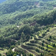 香格里拉云阶·格兰平帐篷营地·咖啡Glamping·cafe User Photo